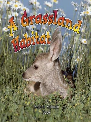 cover image of A Grassland Habitat